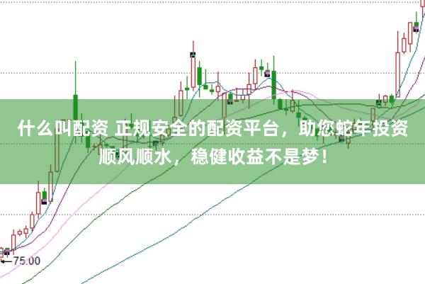 什么叫配资 正规安全的配资平台，助您蛇年投资顺风顺水，稳健收益不是梦！