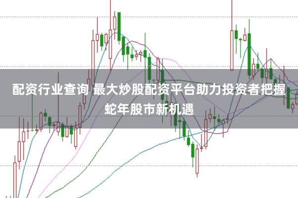 配资行业查询 最大炒股配资平台助力投资者把握蛇年股市新机遇