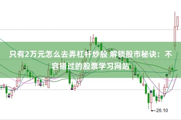 只有2万元怎么去弄杠杆炒股 解锁股市秘诀：不容错过的股票学习网站