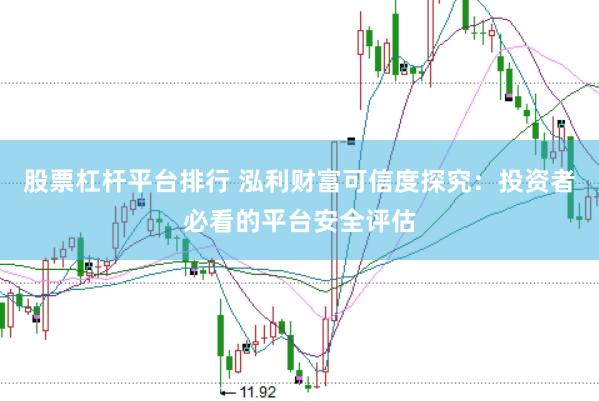 股票杠杆平台排行 泓利财富可信度探究：投资者必看的平台安全评估
