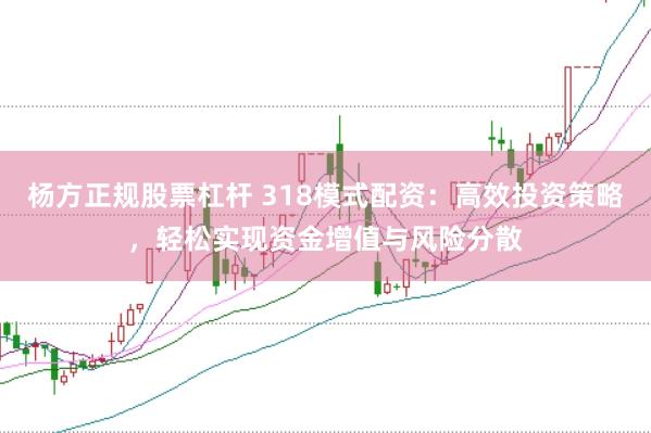 杨方正规股票杠杆 318模式配资：高效投资策略，轻松实现资金增值与风险分散