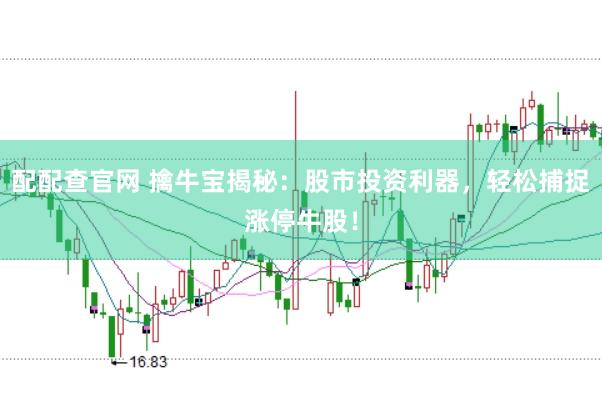 配配查官网 擒牛宝揭秘：股市投资利器，轻松捕捉涨停牛股！