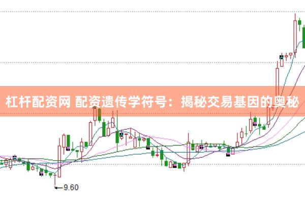 杠杆配资网 配资遗传学符号：揭秘交易基因的奥秘