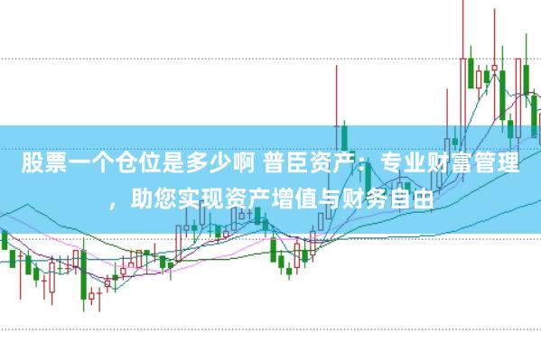 股票一个仓位是多少啊 普臣资产：专业财富管理，助您实现资产增值与财务自由