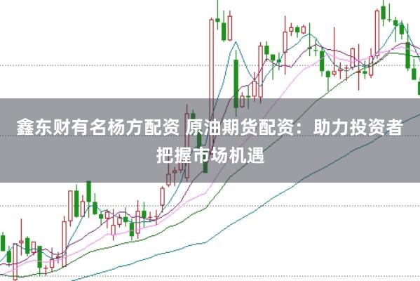 鑫东财有名杨方配资 原油期货配资：助力投资者把握市场机遇