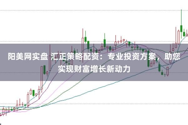 阳美网实盘 汇正策略配资：专业投资方案，助您实现财富增长新动力