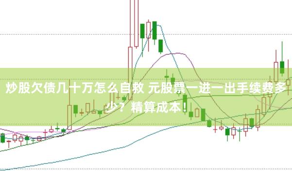 炒股欠债几十万怎么自救 元股票一进一出手续费多少？精算成本！