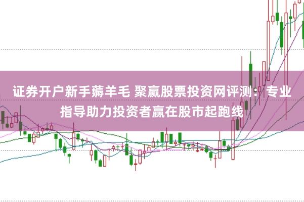 证券开户新手薅羊毛 聚赢股票投资网评测：专业指导助力投资者赢在股市起跑线
