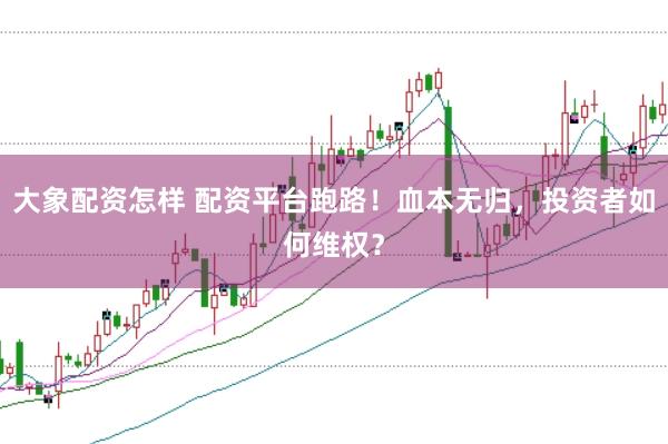 大象配资怎样 配资平台跑路！血本无归，投资者如何维权？