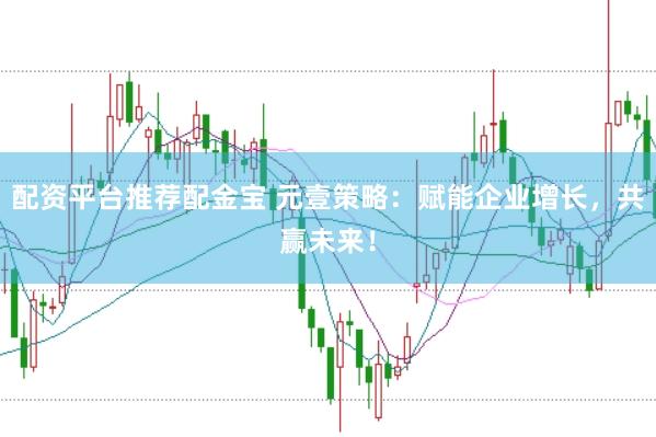 配资平台推荐配金宝 元壹策略：赋能企业增长，共赢未来！