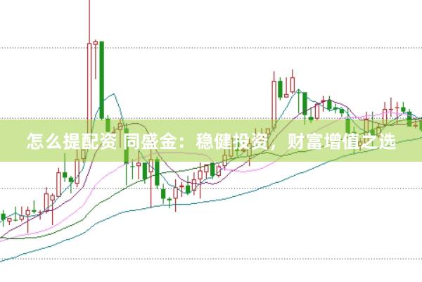 怎么提配资 同盛金：稳健投资，财富增值之选