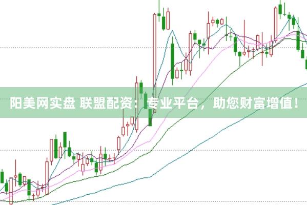 阳美网实盘 联盟配资：专业平台，助您财富增值！