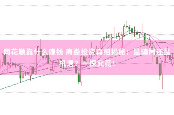 同花顺靠什么赚钱 离娄投资真相揭秘：是骗局还是机遇？一探究竟！