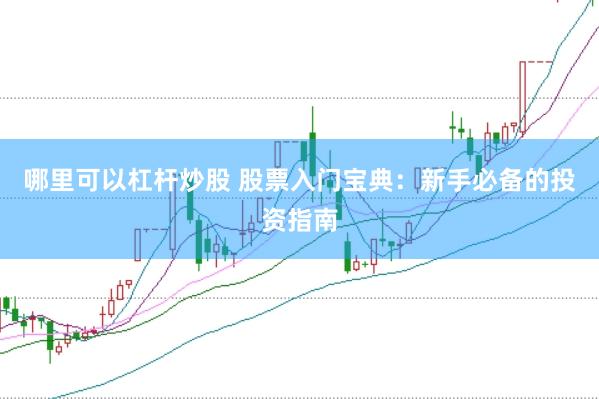 哪里可以杠杆炒股 股票入门宝典：新手必备的投资指南