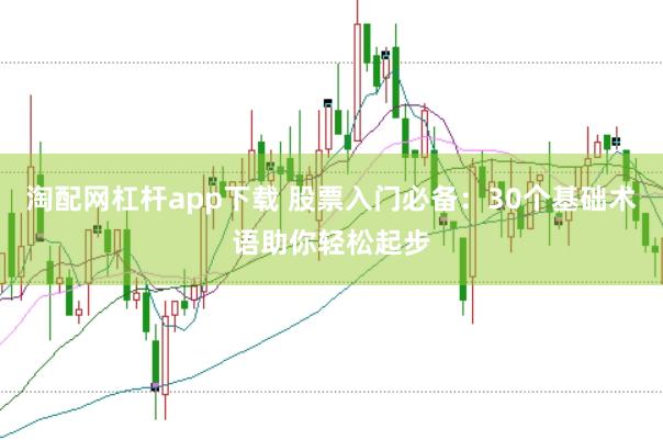 淘配网杠杆app下载 股票入门必备：30个基础术语助你轻松起步