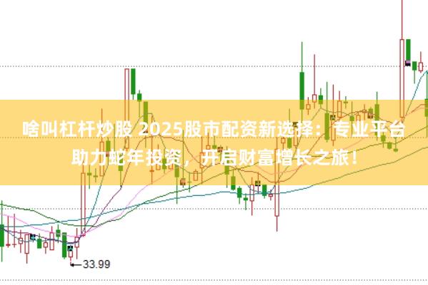 啥叫杠杆炒股 2025股市配资新选择：专业平台助力蛇年投资，开启财富增长之旅！