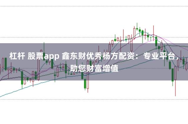 杠杆 股票app 鑫东财优秀杨方配资：专业平台，助您财富增值