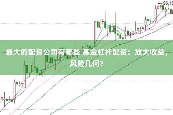 最大的配资公司有哪些 基金杠杆配资:放大收益,风险几何?