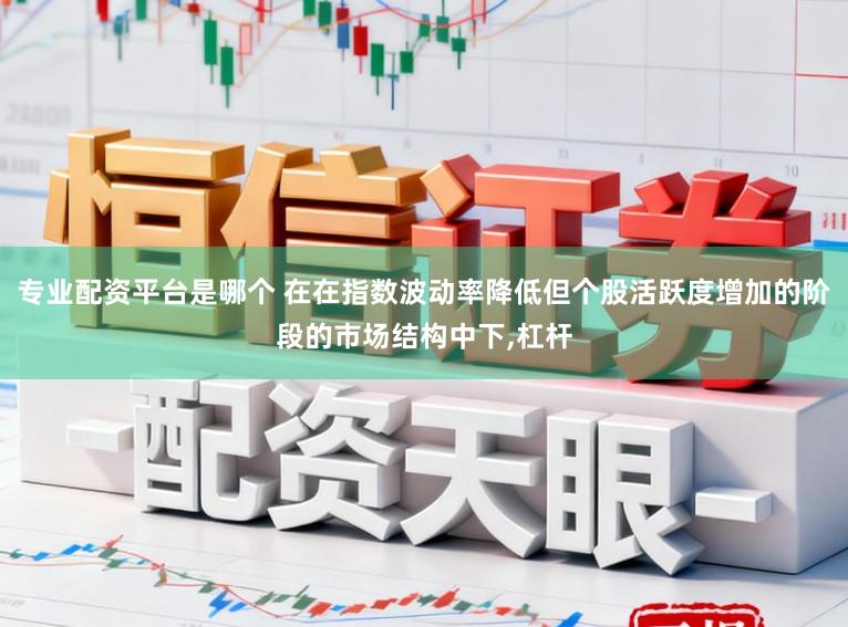 专业配资平台是哪个 在在指数波动率降低但个股活跃度增加的阶段的市场结构中下，杠杆