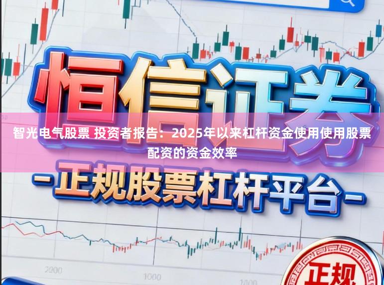 智光电气股票 投资者报告：2025年以来杠杆资金使用使用股票配资的资金效率